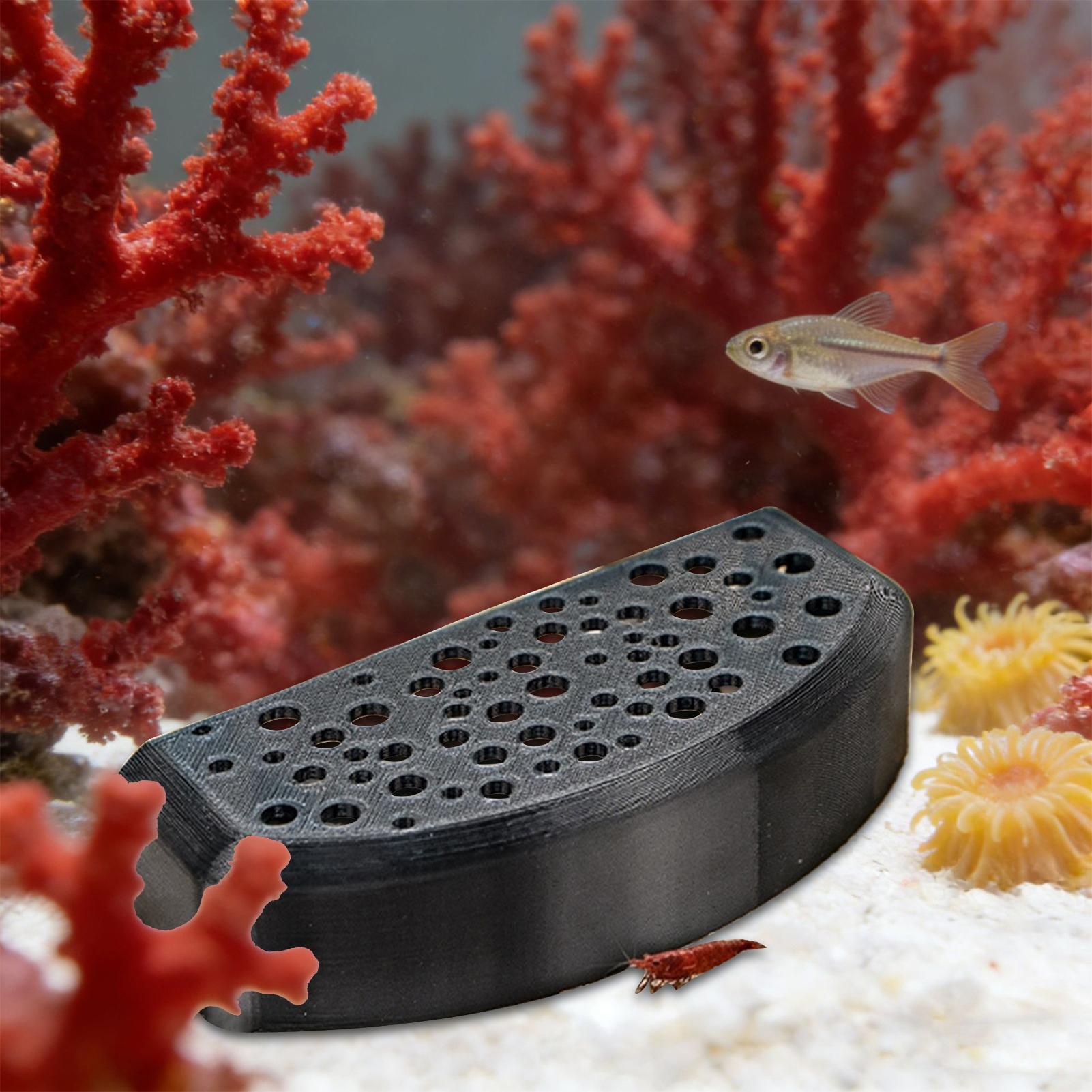 Su Ürünleri Evcil Hayvan Dinle - Aquatic Zone incelemesi ve fiyatı