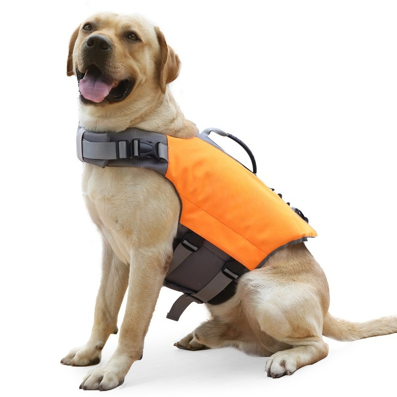 Köpek Can Yeleği Yüzen Güvenli - Life Jacket Buoyancy incelemesi ve fiyatı