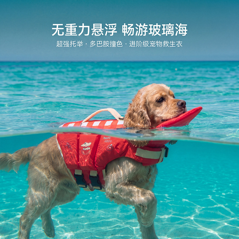 Köpek can yeleği, çizgi film d - Life Jacket Buoyancy incelemesi ve fiyatı